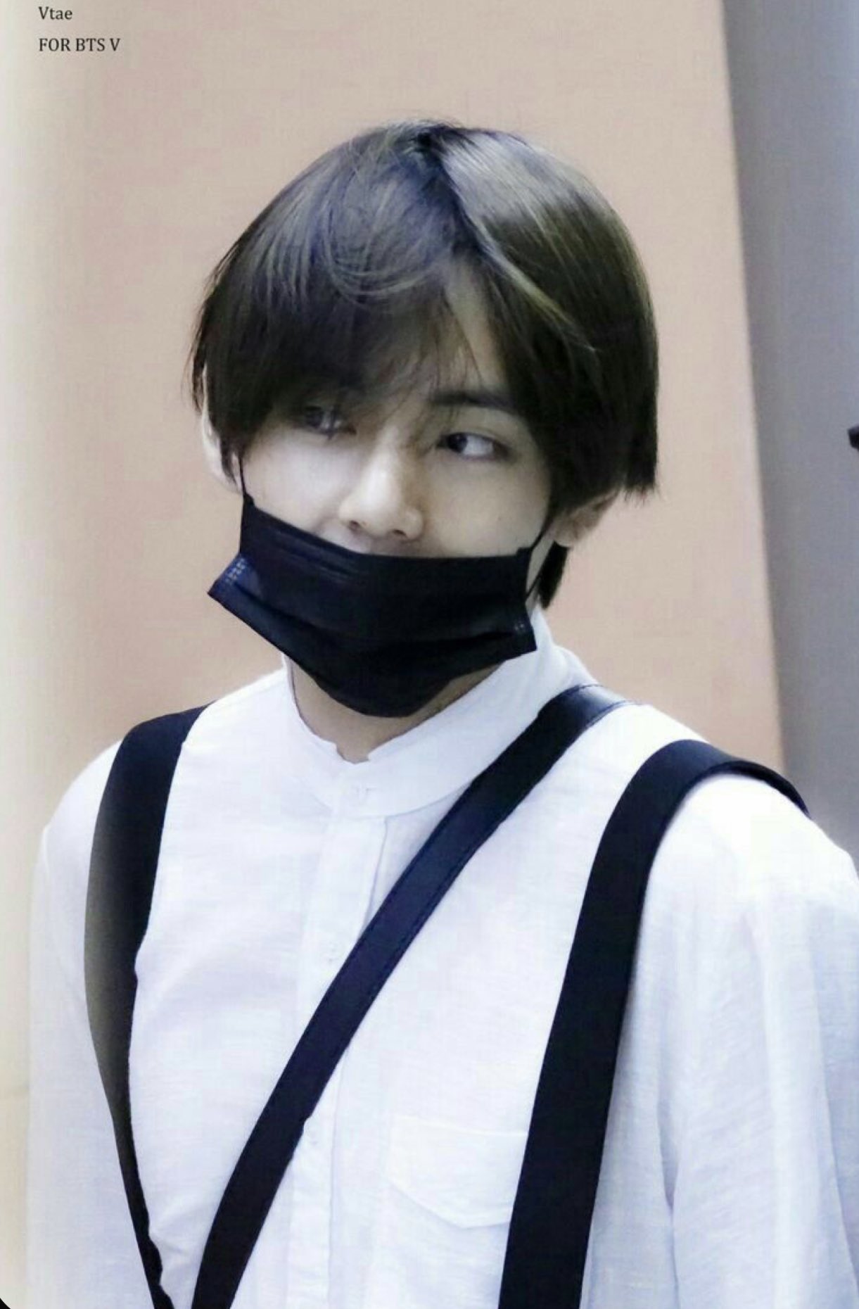 BTS V テヒョン テテ boobooTae 20cm 黒髪 BTS V テヒョン テテ boobooTae 20cm 黒髪（黒髪テテ𖦹‎.𖦹