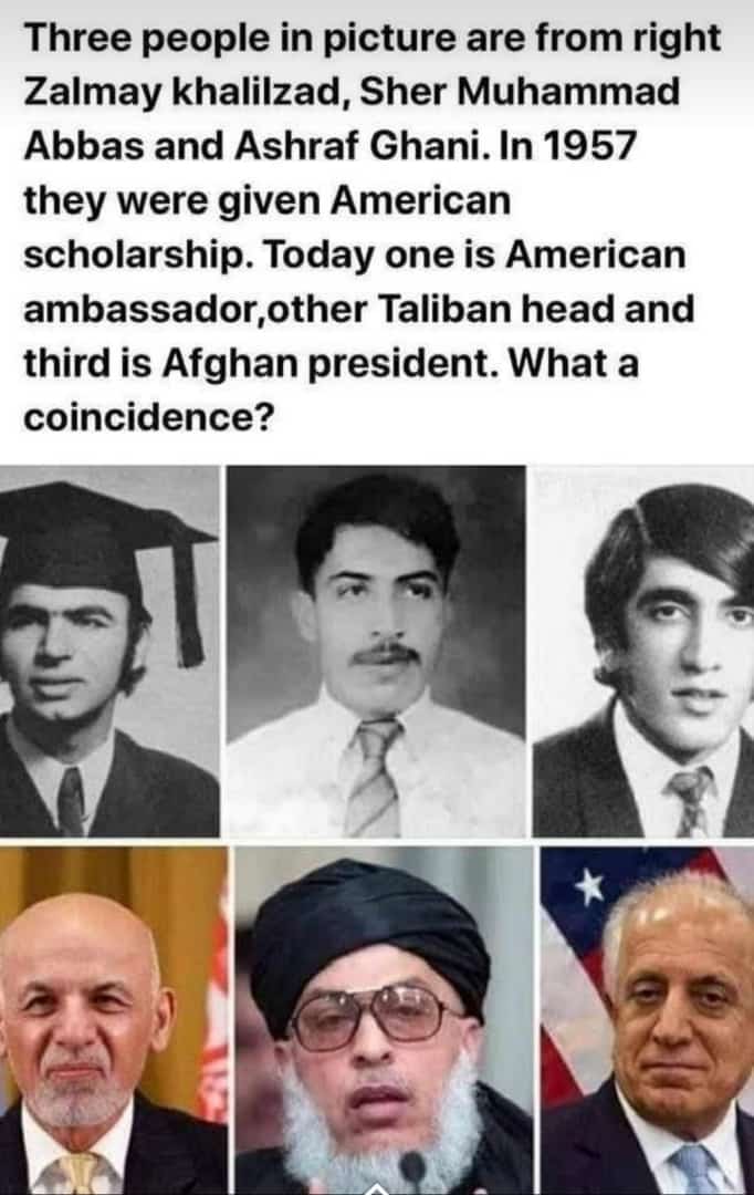 Stranger than fiction....