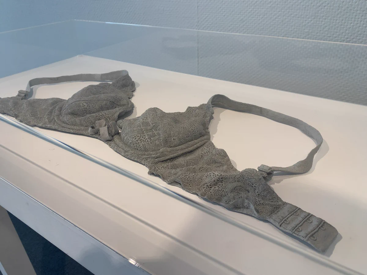 これは凄過ぎて誰にも気づかれない…脱ぎ捨てられたブラジャーにしか見えない焼き物！