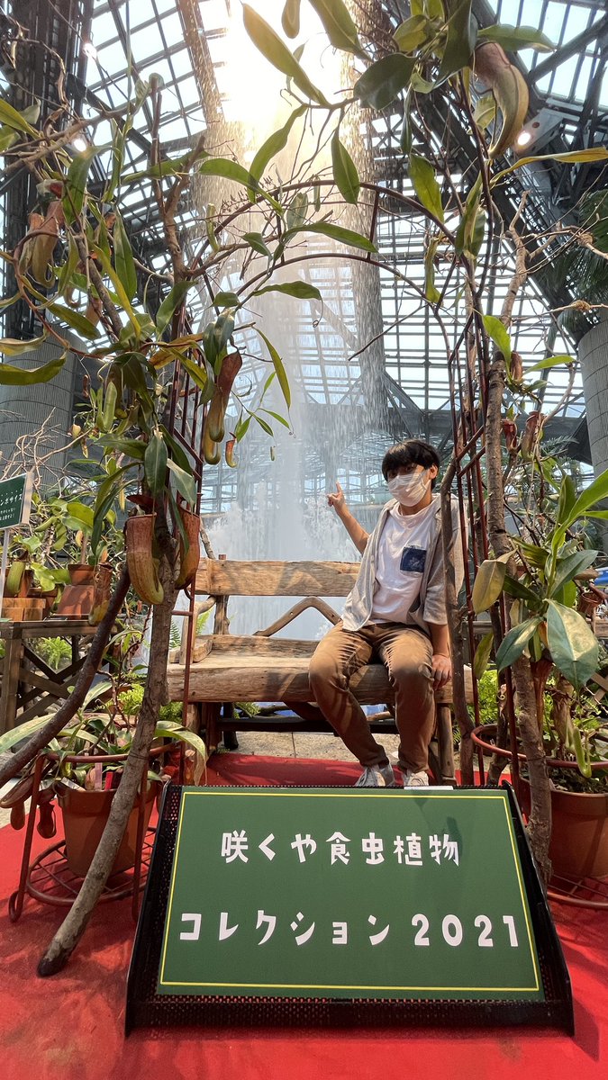 手づくり花づくりプラス Twitter Search