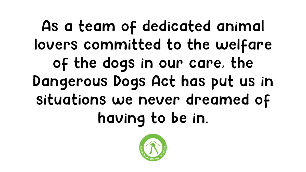 Edinburgh Dog and Cat Home tweet media