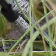 Bio·R Australia tweet media