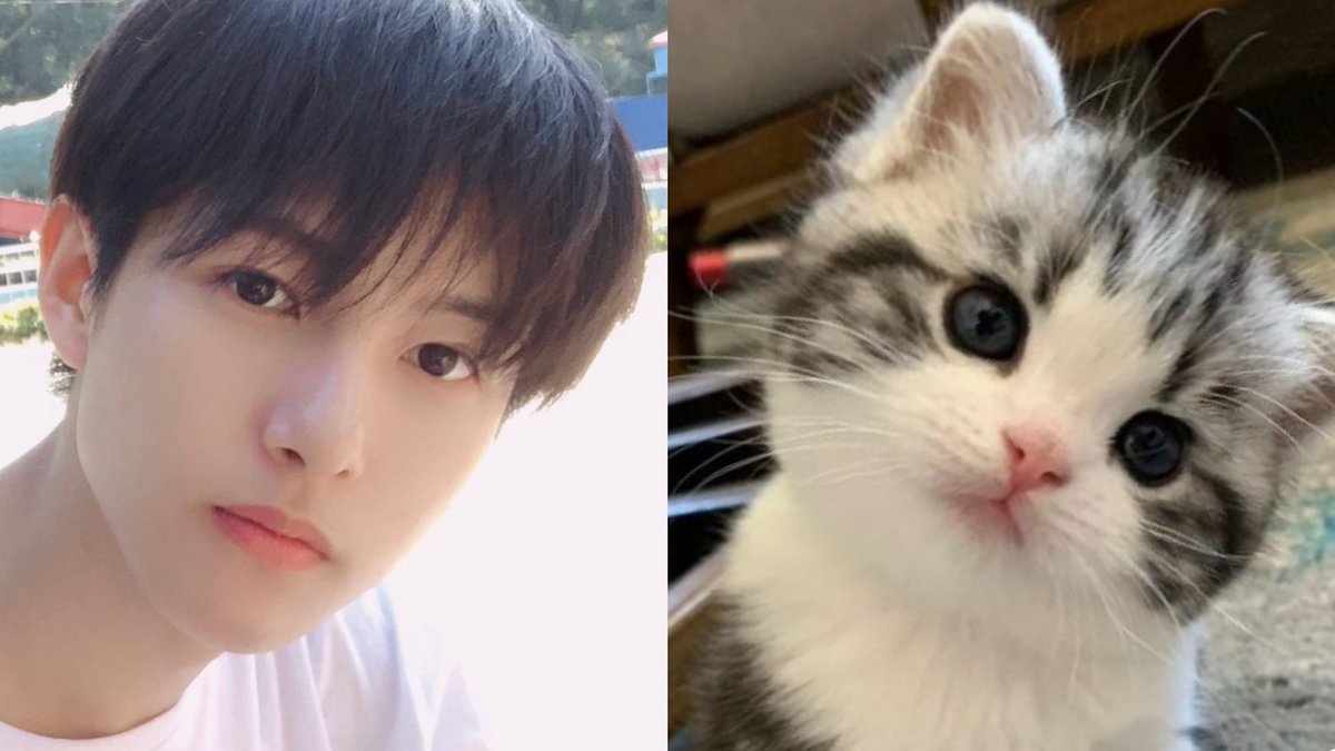 renjun_cat's tweet photo. #RENJUN #런쥔 #仁俊 #ロンジュン #renjun_cat https://t.co/LDxPHtz4tT