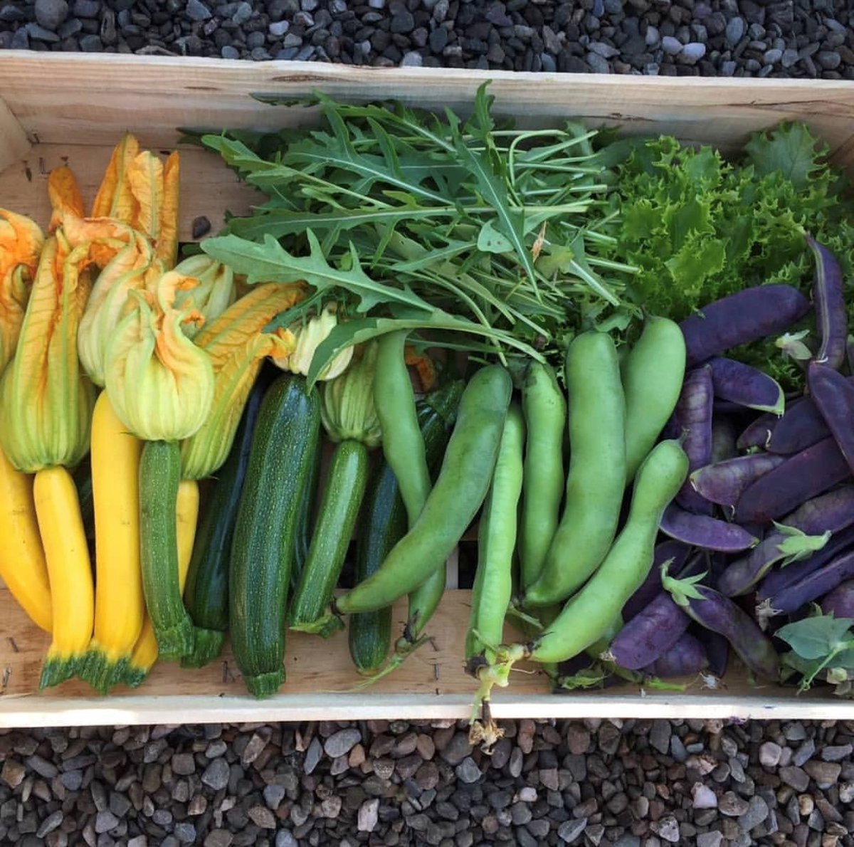 Some of the vegetables grown in our kitchen gardens. Providing inspiration for our Chefs to prepare the most delicious menus made from seasonal homegrown produce 🥕🍆 #CromlixHotel #Smallluxuryhotels #visitscotland #Dunblane #homegrownvegetables #finedining