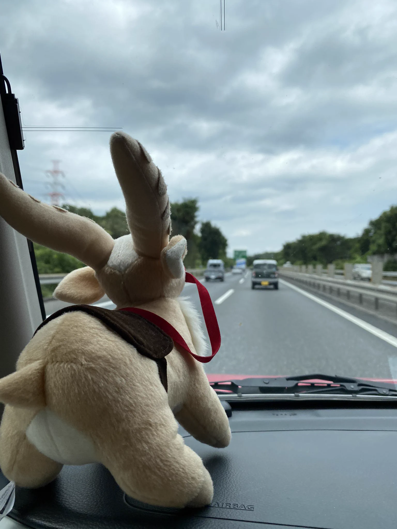 @donguritaishi まさに、我が家のヤックルは旅のお供です☺️ 
