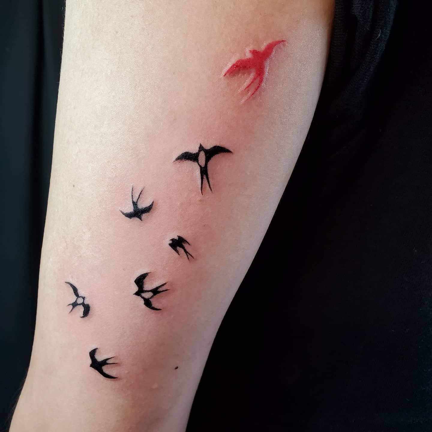 彫季代 Horikiyo ツバメを7羽 その数も 一羽だけ色が違うのも お客さんなりの意味があります 良いお守りになりますように T Co Zedcuxy3bk Twitter