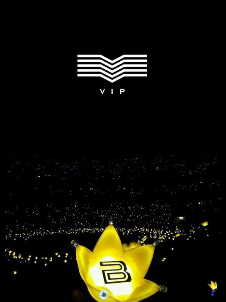 pipugiee's tweet photo. Thank you for giving us every reason to proudly be V.I.P in the past 15 years. We’ll be waiting here forever on the flower road #15yearswithBIGBANG #15 YEARS MAKING HISTORY #15YearsMakingHistory https://t.co/Q0DpRHfzPy