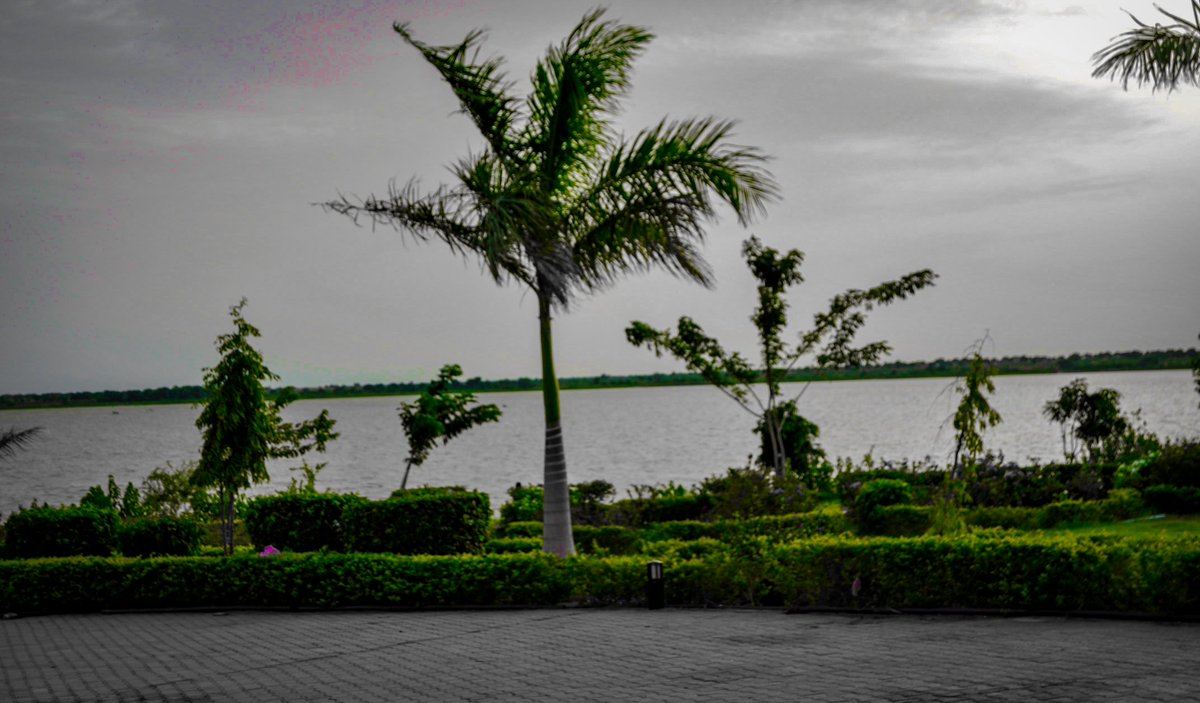 <a href="/TAS_trips/">Travel around Sudan</a> <a href="/montser_hatim/">مونتي كارلو 🇸🇩</a> الرهد ♥️♥️♥️🔥🔥🔥