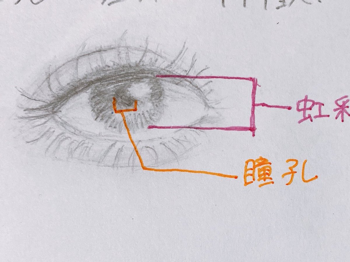 みみこ 呪術廻戦にハマったらしい Mimiko 22 Twitter