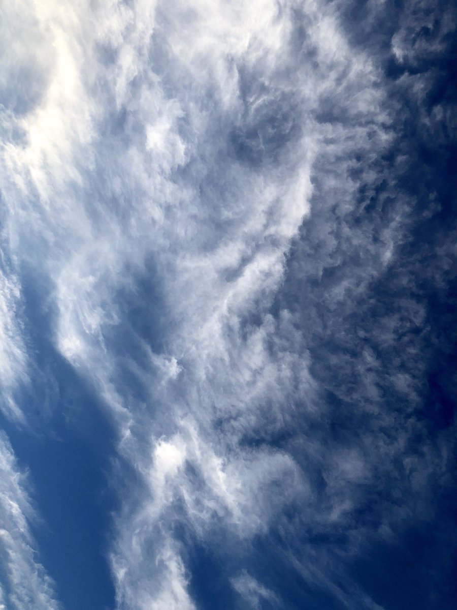 小島秀夫 (@kojima_hideo) on Twitter photo 