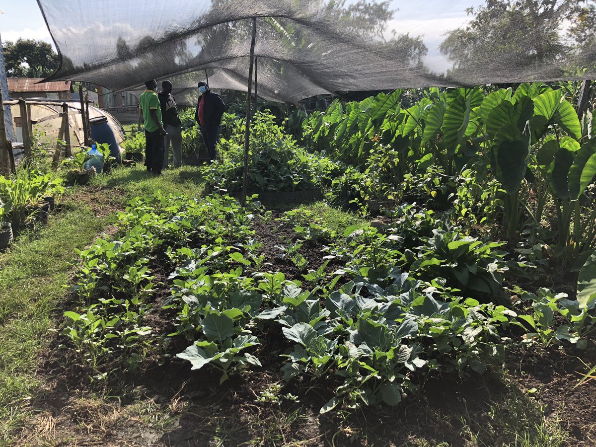 itsfaithk's tweet photo. The world produces more food than we need, yet about 1/3 of the world population are food insecure. In Africa alone that number is 2/3.  How can we move food from where it’s in excess and re-distribute it to where it’s needed? #rightofood #universalfoodaccess #sdg2 @Liz_Kimani https://t.co/835Y1j9i56