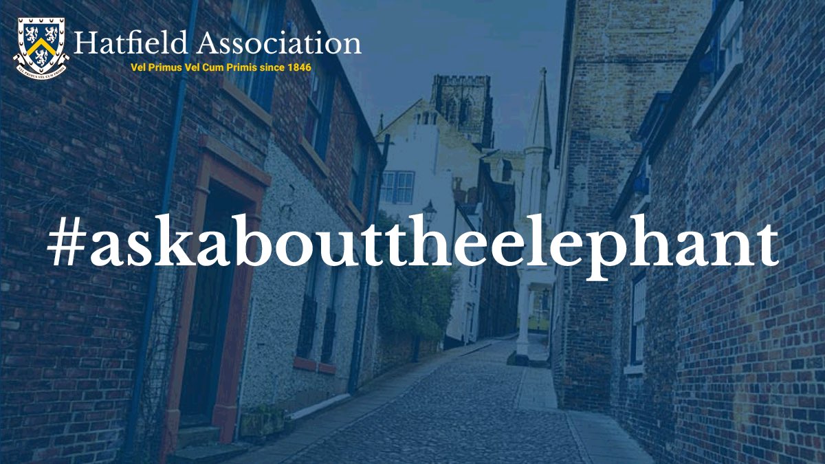 HatfieldAlumni's tweet image. Joining @HatfieldCollege #Durham this autumn? We look forward to welcoming you to Hatfield Association! 
Here are some members introducing the Association!#askabouttheelephant 
We are #AllOneHatfield 💙💛🦁
⤵️
youtu.be/kJ-A_hocTYM
