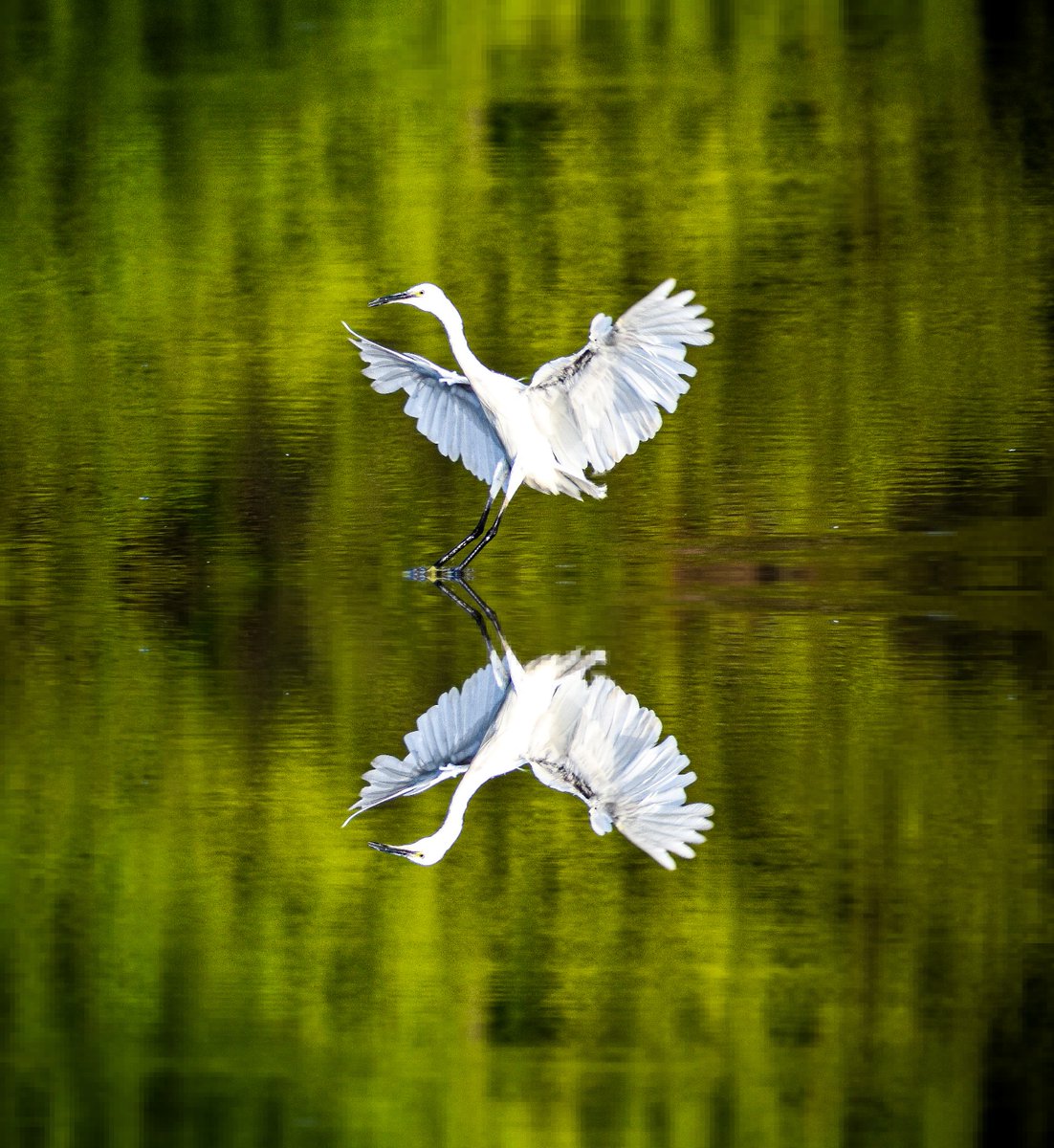 Rp_2412's tweet photo. From my favourites #WorldPhotographyDay #WorldPhotographyDay2021 https://t.co/FFyYzhR0rR