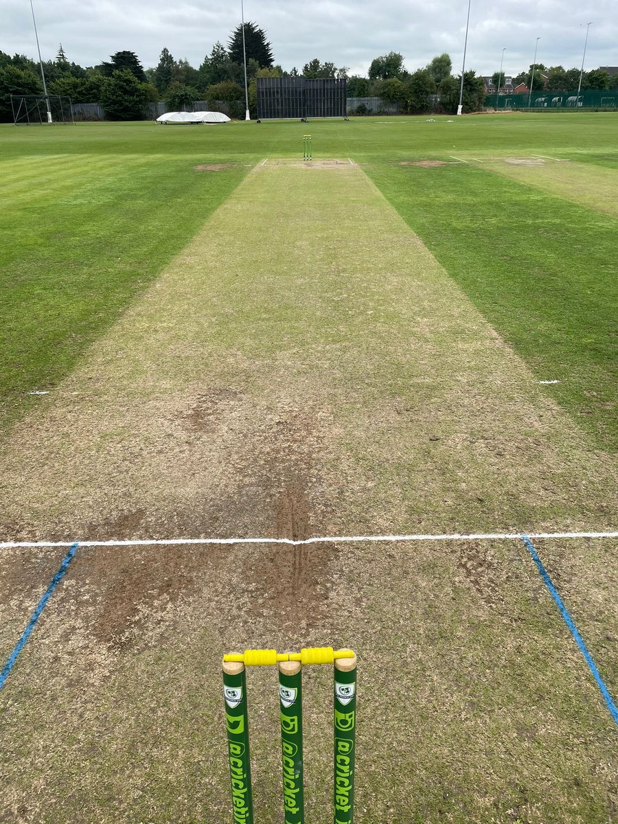 CI Cricket Club tweet media