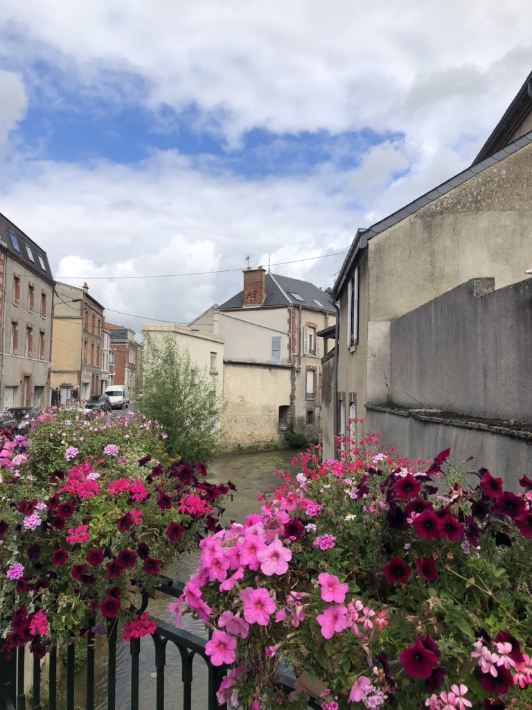 ASurmelin's tweet photo. #rivières et #coursd’eau que nous aimons : le Cubry, affluent de la Marne, canalisé dans sa traversée d’Epernay. #nature #biodiversite #gemapi https://t.co/gA3hGnyCej