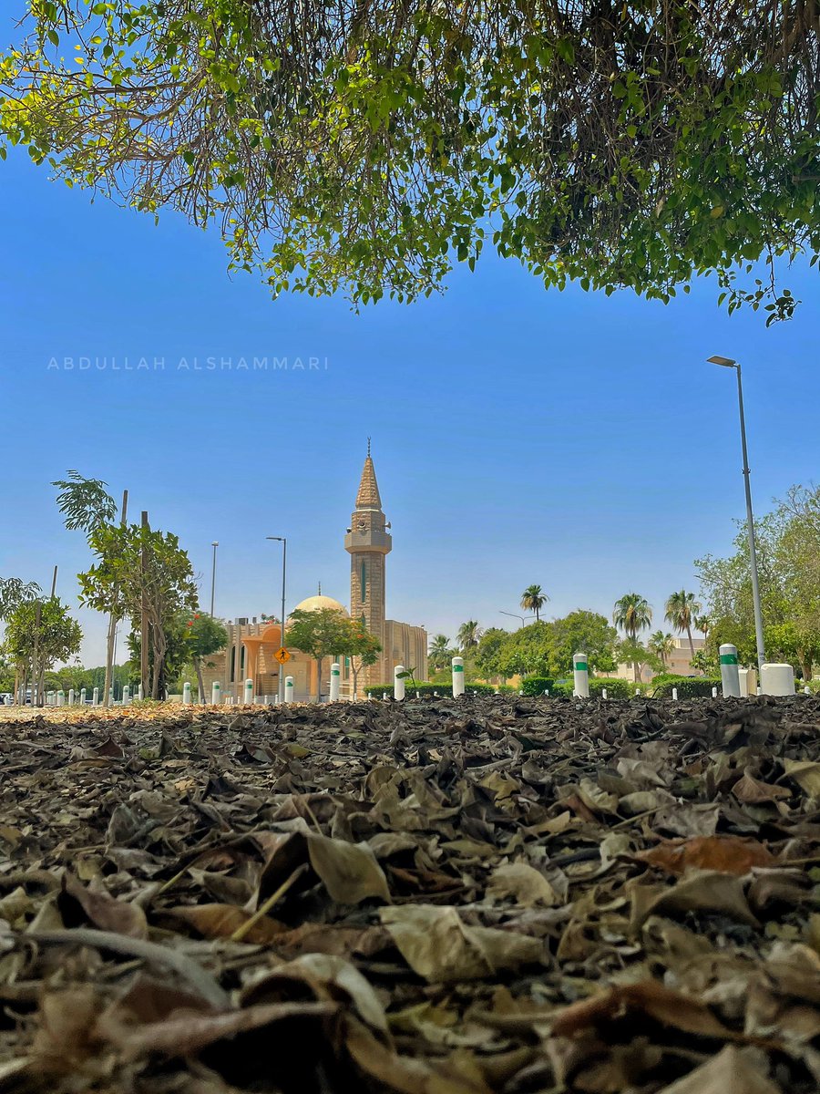 AALSHAMMARI's tweet photo. #الجبيل_الصناعية #يوم_التصوير_العالمي @Saudi_MT https://t.co/48a6Q7kQxj