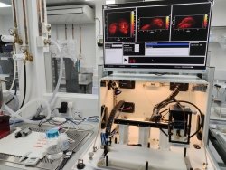 Med Anthro Theory tweet media