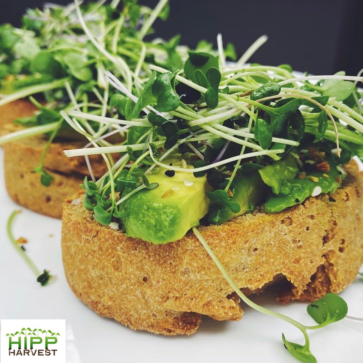 AdamsRicciFM's tweet photo. Cool, green and shady…that’s our market today (3-7 p.m.)! Cold drinks, refreshing melons, lettuce mix, PA wines, beer and take-home slushee kits, homemade baked goods (like pie!), dinner to go and a brand NEW vendor with micro greens.  All the details: https://t.co/Uaz8IsabeS https://t.co/35Kdot9bcO