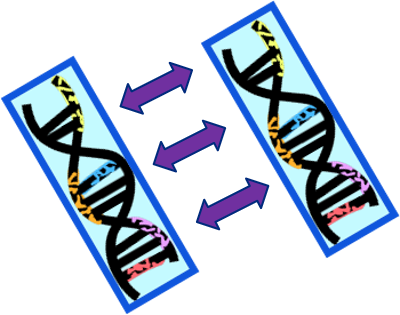 CDC_AMD's tweet photo. #AMDClips: TB genotyping is a laboratory-based approach used to analyze the genetic material (like DNA) of Mycobacterium tuberculosis, the bacterium that causes #TB disease. Learn more: https://t.co/x6lUz6ClNV https://t.co/yRLYWDxG8y