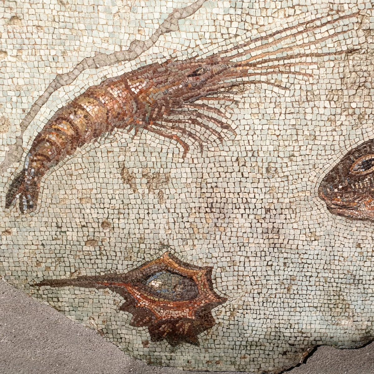MandaranoN's tweet photo. Colori dei Romani. I mosaici dalle Collezioni Capitoline.
#centralemontemartini #museiincomune https://t.co/Rpv5q8NJHF