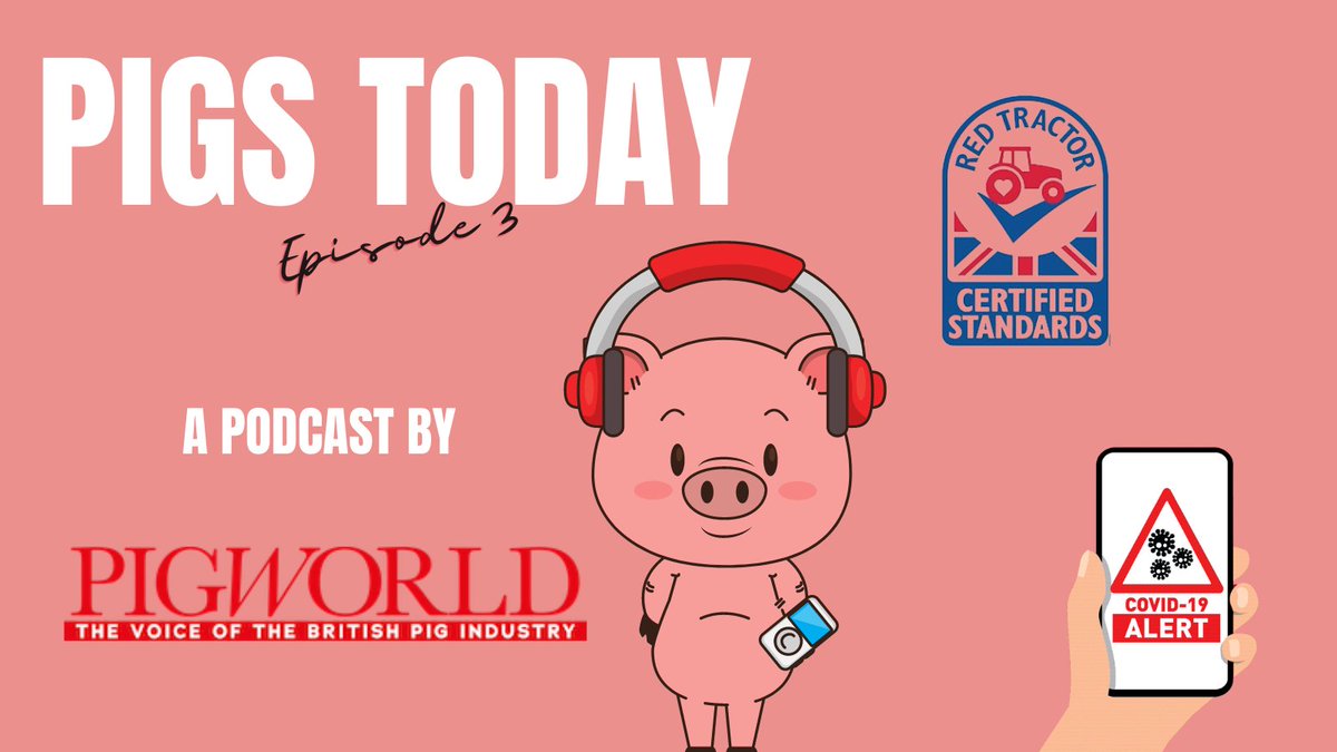 The sectors labour shortage issue looks like it's not disappearing anytime soon, so catch up on everything you need to know about the topic in our latest Pigs Today episode🎙️🐷 with guests from 
<a href="/BMPA_INFO/">BMPA</a> . Listen now 👇

anchor.fm/pigs-today/epi…

#podcast #pingdemic #Nandos
