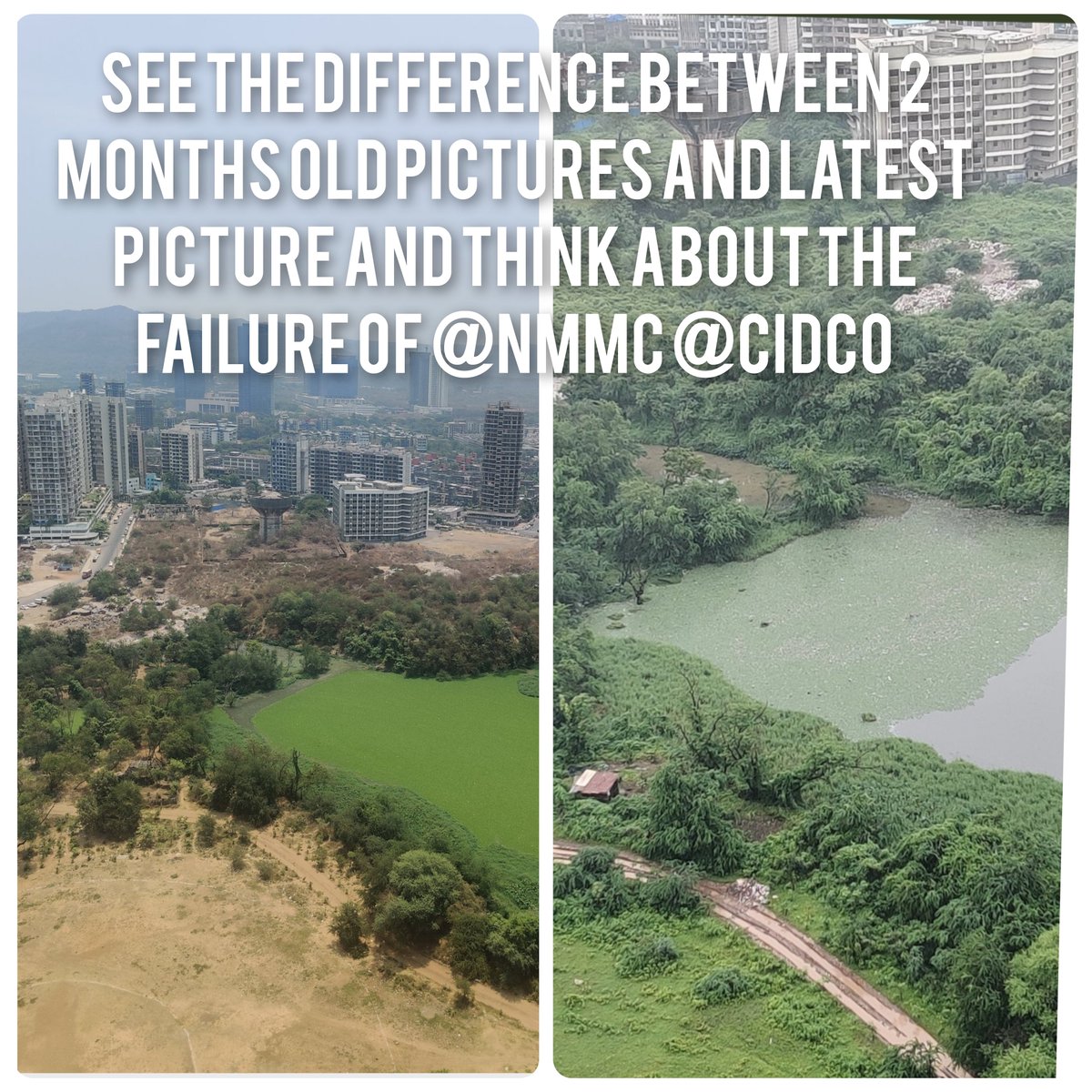 adarshlogistics's tweet photo. @DrSanMukherjee @CIDCO_Ltd @NMMCCommr @NaikSpeaks @NMMConline @Bangladesh देख मेरे तलाव की हालत क्या हो गई @CIDCO_Ltd 

कितना बदल गया @NMMCCommr 

see the difference between 3 months photo

so bad @PMOIndia @swachhbharat @Swachh_NaviMumb @TheOceanCleanup @PONDband @Lakers @lakebell @Dirtybird @NaikSpeaks @isandeepgnaik @NaviMumITSena @NaviMumbaiCity https://t.co/QV8zPMhrbQ