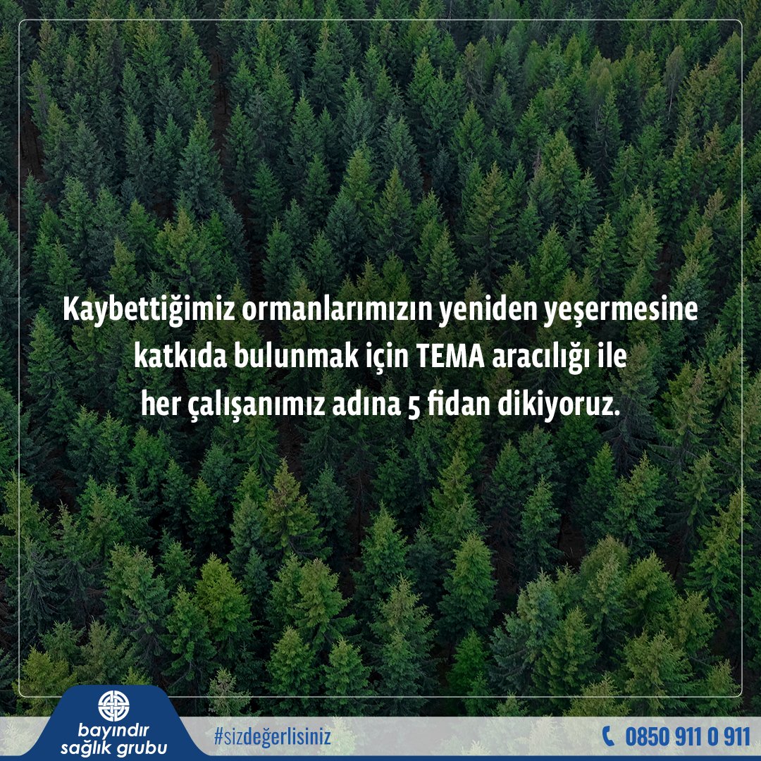 Kaybettiğimiz ormanlarımızın yeniden yeşermesine katkıda bulunmak için TEMA aracılığı ile her çalışanımız adına 5 fidan dikiyoruz.