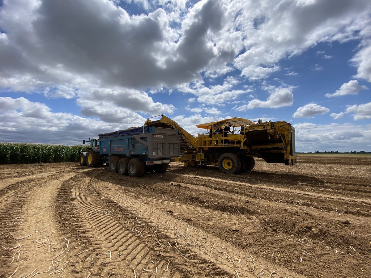 Arrachages de pommes de terre 2k21 avec @ropa, <a href="/JohnDeere/">John Deere USA</a> et <a href="/BMaupu/">Bennes Maupu</a> 🥔