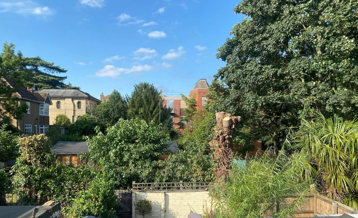 #woodbridgetowncouncil - these trees had TPO's on them , can you tell us please why you cut down three healthy mature trees in these timesof #climate and @#enviromentcrisis ??
#woodbridgesuffolk 
#woodbridge
<a href="/EastSuffolk/">East Suffolk Council</a>