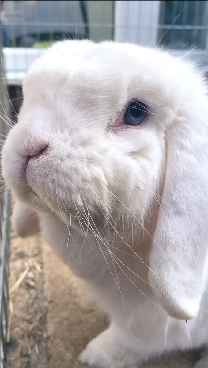 Sleep well baby blue 💙😢