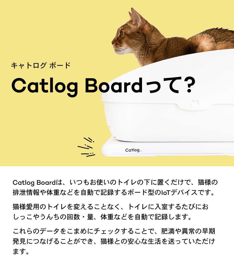 最終決算 Catlog board 猫用品 | fademga.plenainclusiongalicia.org
