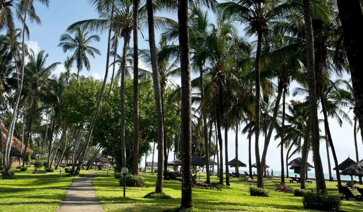 BafaSafaris's tweet photo. Smell the sea feel the sky🥳😊
The package is available for a group of six and above.
Tag your traveling squad 😊

CONTACT US
For INFO , Bookings &amp; Enquires contact our excellent customer support team available 24/7 to help and serve you well;
📞0758502714 https://t.co/x64pCdYA87