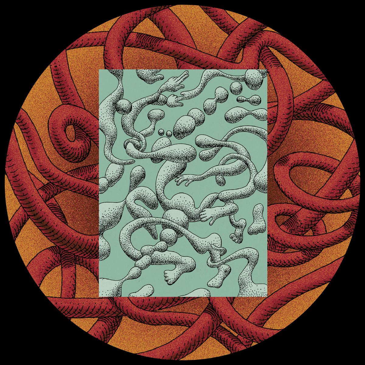 Le Chatroom tweet media