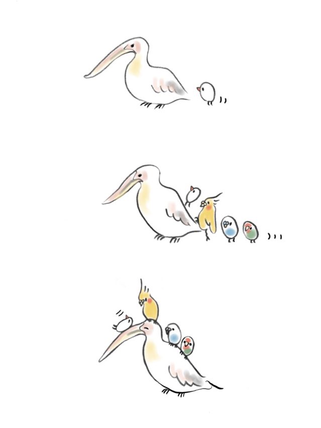 「ペリカンさんと小鳥さんたち 」|ゆひろのイラスト