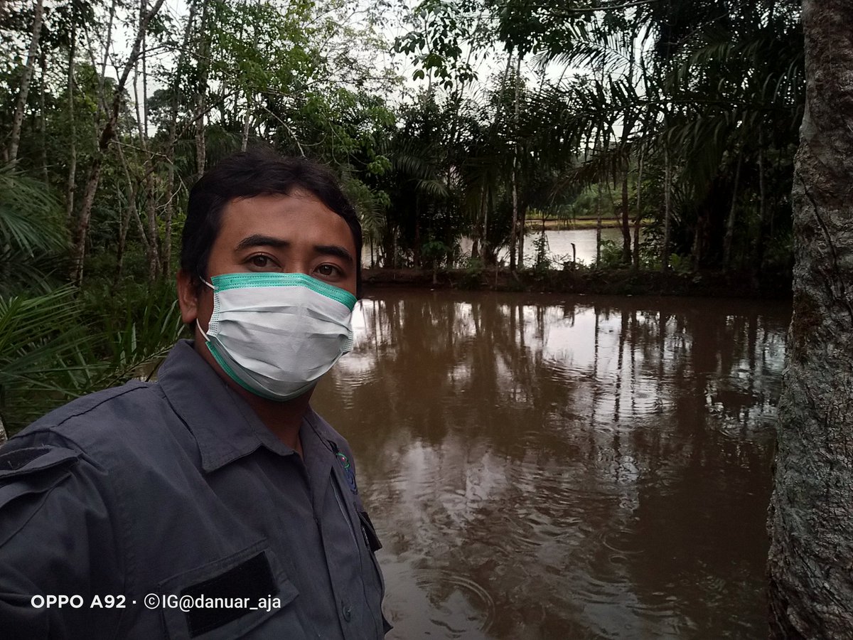 danuarPPB's tweet photo. Bismillah
Kamis 19/08/21 Danuar PPB Kab Sekadau Desa Lubuk Tajau Kec Nanga Taman Survey Lokasi Kelompok Tani Sungai Mayau #GiatLuhkanSatminkalTegal #LaporKegiatan @puslatluhkp @brsdm_kp @BRSDM_bp3tegal https://t.co/lsHMDtwAWz