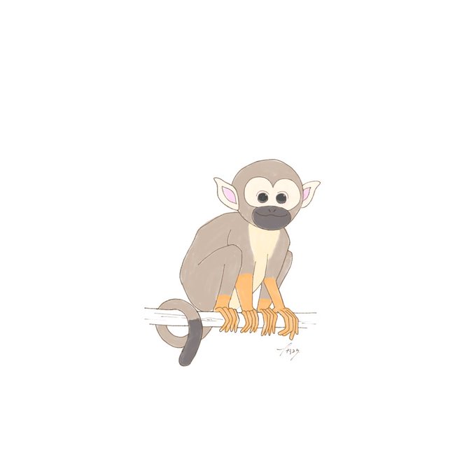 リスザルのtwitterイラスト検索結果 リスザルのtwitterイラスト検索結果