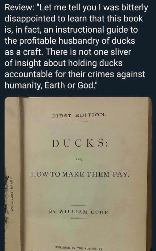 brannonmarshall's tweet photo. Yep. That’s pretty funny. https://t.co/s6KeluPBB9