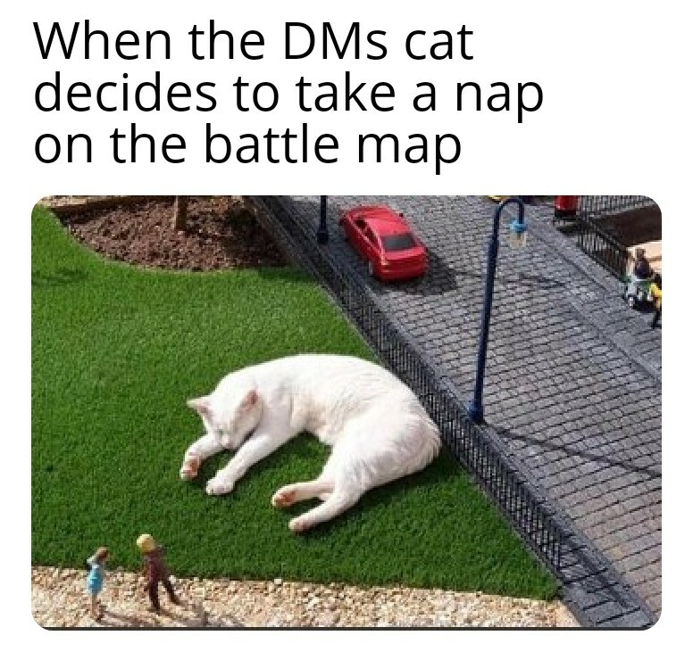 epicdndmemes's tweet photo. #ttrpg #dnd #rpg https://t.co/HRfOzU3JNq