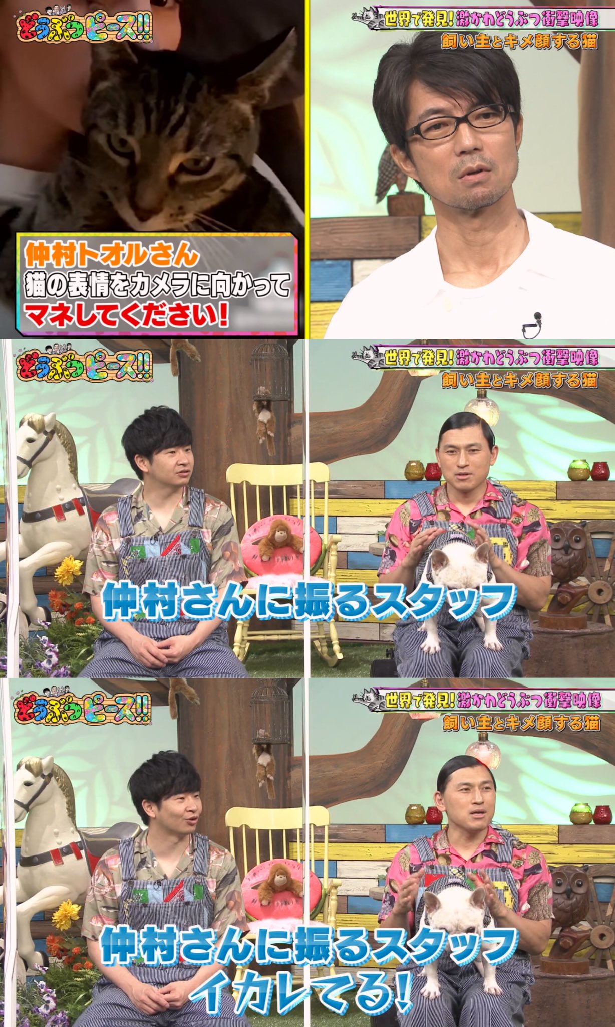 تويتر ワカウソマニア على تويتر 番宣でバラエティに来て ちゃんとバラエティをやってくれる 俳優さん 好きぃ オードリー オードリー若林 オードリー春日 若林正恭 春日俊彰 若林 春日 若様 若林かわいい どうぶつピース ぶつピー 仲村トオル