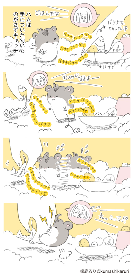 熊鹿るり Kumashikaruri Twitter