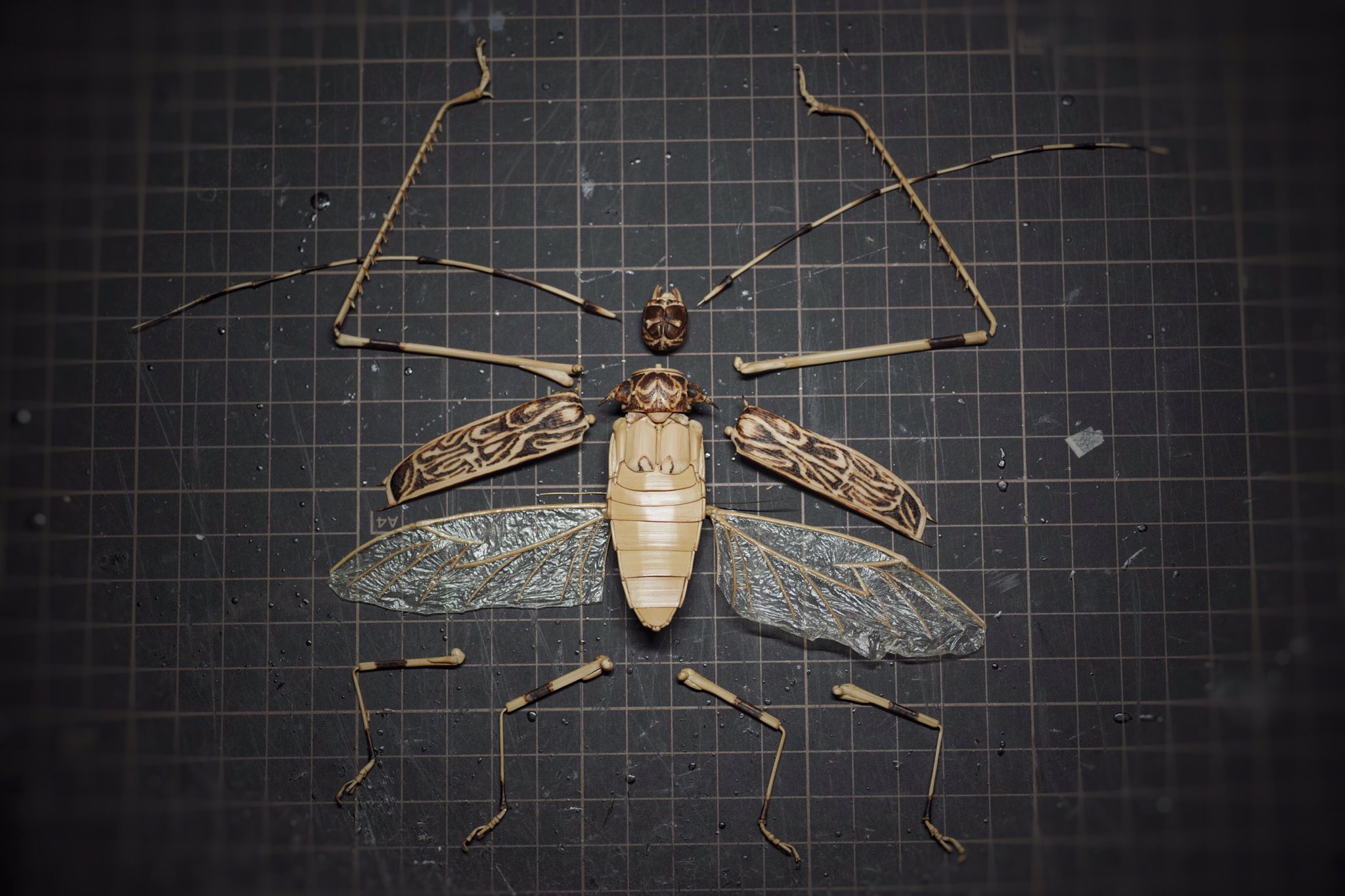 Bamboo Insects 昆虫竹細工 テナガカミキリ 全てのパーツ完成です 翅は後数回ニスを塗って補強します T Co Idakycmqmk Twitter