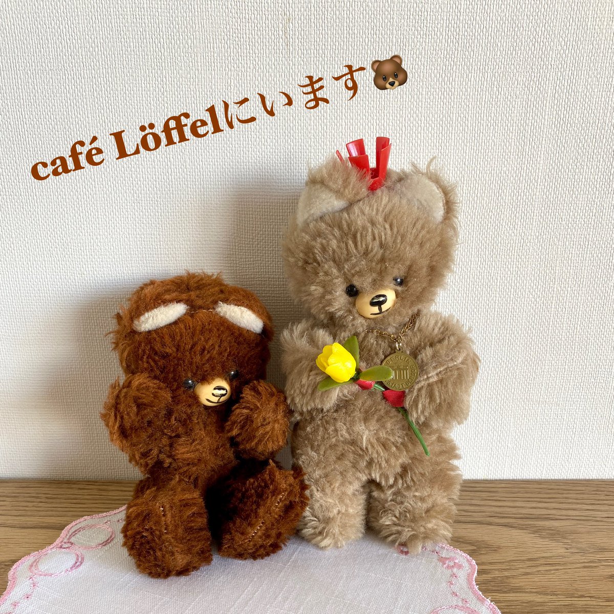 チェドックのスタッフ 東ドイツ時代のベルリンベア ありがたい事に色んなお家へ引っ越して行きましたが まだまだ可愛い子が新しいお家を探しています 通販 店頭 カフェロフェルさんと色んなところにいます ちなみにこの クマが新しいお家を探してい