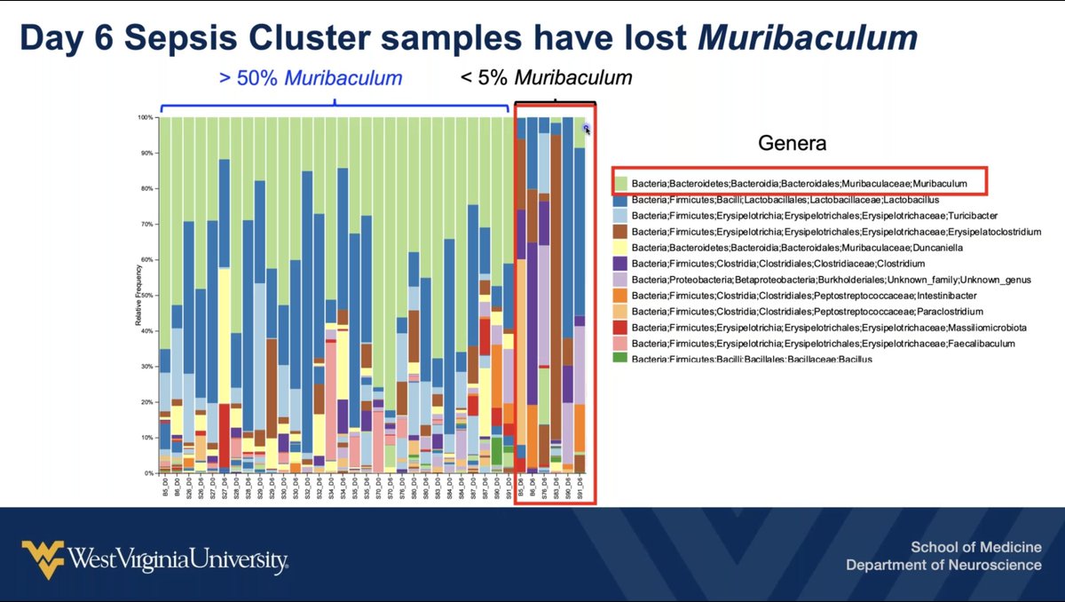 PacBio's tweet photo. They found that the commensal #Muribaculum bacteria decreased in the mice with #sepsis (from >50% to <5%), and that species of #Clostridales and #Burkholderiales increased. #Lactobacillus seemed to have a protective effect, @BrownLabWVU tells #PBWebinar. https://t.co/ZDiwd092t1