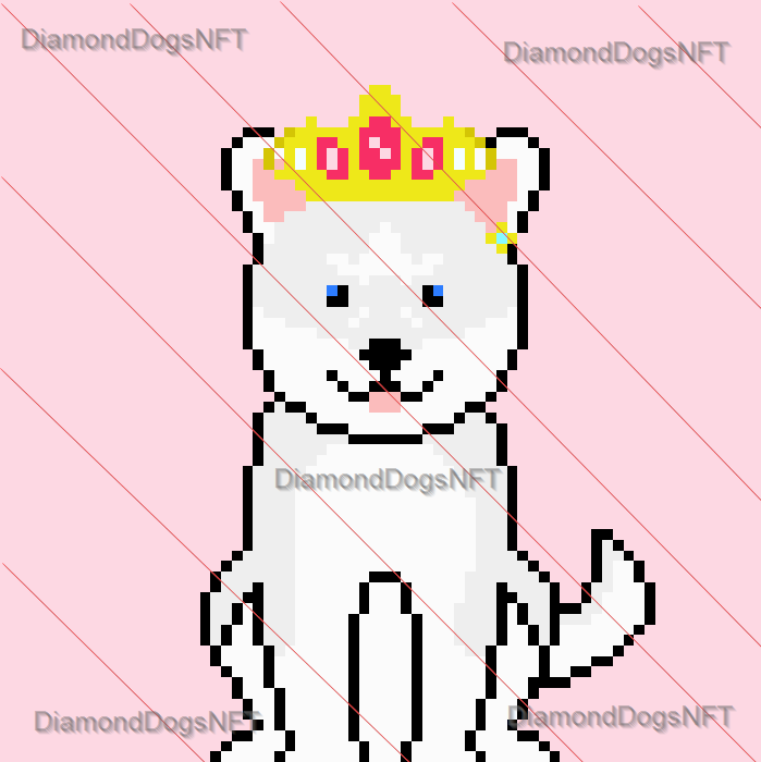 DiamondDogsNFT's tweet photo. @FallonTonight @ParisHilton @ParisHilton I think we may be able to make you a cute pup to carry in your phone that's in your purse😏 Let us know and we will get your pup to you #nft #pomsky #parishilton #customdog @BlackDiamond_CU https://t.co/yqsyBUJyBb
