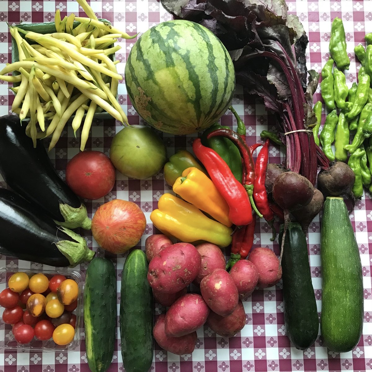 Number1Sons's tweet image. Have you seen Path Valley’s veggie boxes? They’re always a rainbow of seasonal produce. Path Valley Co-op is a group of small Amish family farms in Franklin County, PA, that’s a bit of a secret among DC chefs 😉 Boxes available for home delivery through number1sons.com ☺️