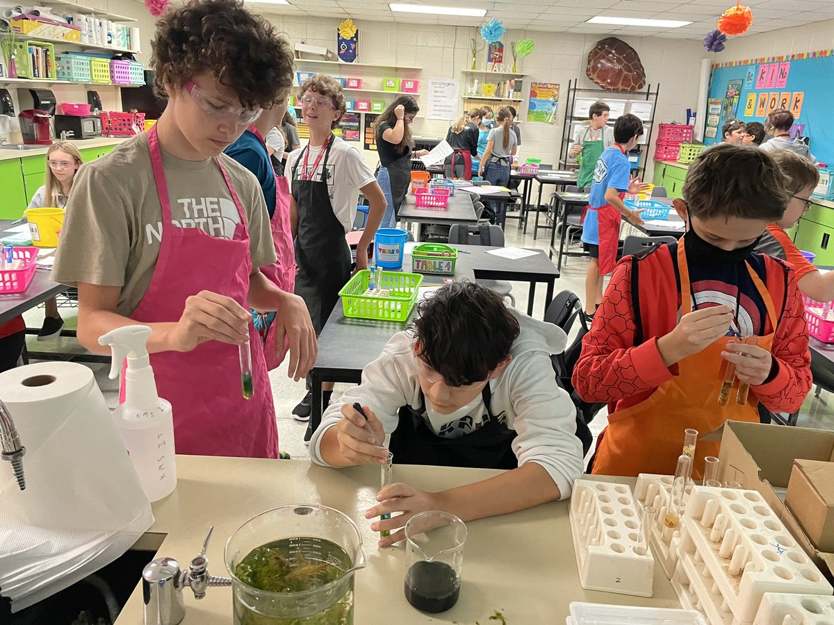 JenniferHallKMS's tweet image. Using our AVID strategies with our Carbon Cycle Lab🥼🌿🧠#WICOR #LabInvestigation #LabReports #Collaboration #KMSAVID #HumbleISD_AVID #KMSCougarPride #KMSClassOf2026 #KMSScience #Humble_2ndScience