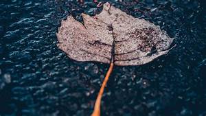 LeaderFSI's tweet image. If this unusually rainy summer has effected your basement, call us for a free inspection and written estimate. 888-320-6363