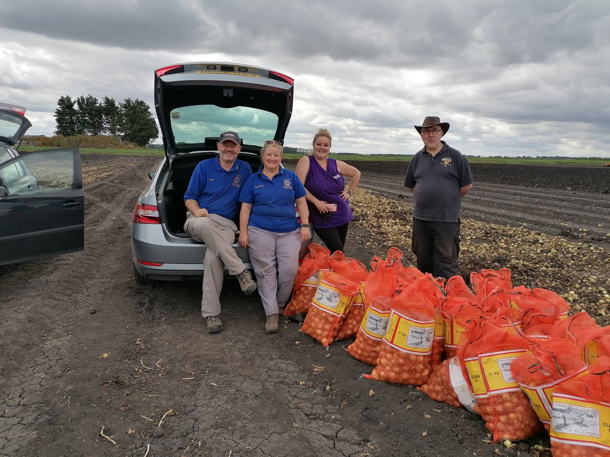 Chrishibbert13's tweet image. Gleaning onions in Cambridgeshire. 12 volunteers, 27 hours in total, 1680kg of small but perfectly good onions rescudd from certain death.