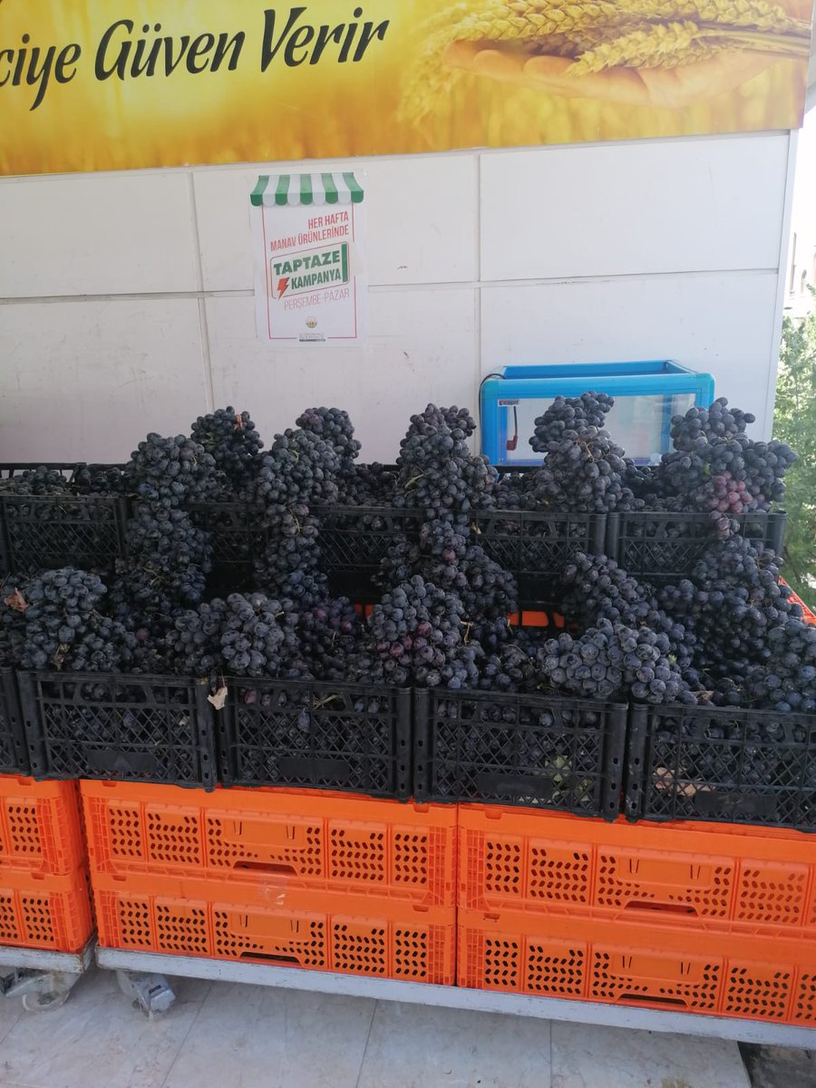 Antep Karası Üzümleri Kooperatif Marketlerde gaziantep.tarimkredi.org.tr/gundem/haberle… #Haberler via @Tarım Kredi Merkez Birligi