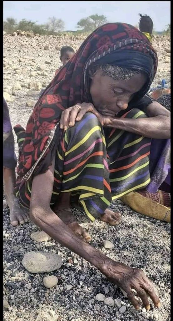 NatnaelMekonne7's tweet photo. 3 weeks ago @UNReliefChief stated >300k civilians were displaced in Amhara.and Afar 
That number has now doubled as #TPLFTerroristrebels continue to invade, shell towns and carry out door-to-door executions. #WorldHumanitarianDay #AidForAmharaIDPs @SJEastAfrica
@ida_sawyer @jgm https://t.co/vYLaDpd7UA